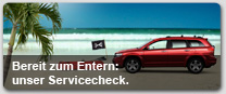 Service-Check 2010